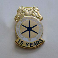 Teamsters Muli-Year Member Lapel Pins